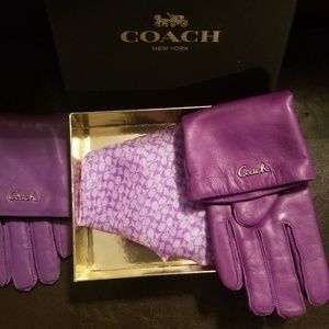 Purple coach gloves and handkerchief